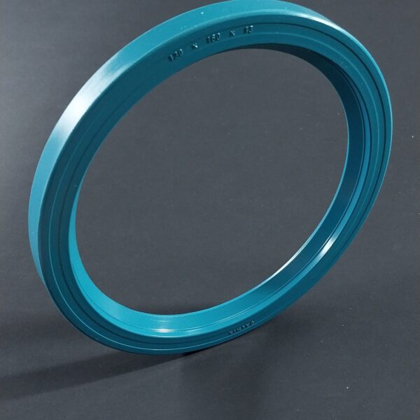 Semering  140x160x13 BS